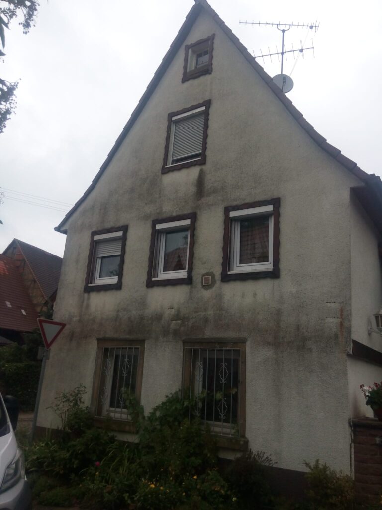 whatsapp bild 2025 12 09 um 19.10.48 533d512a